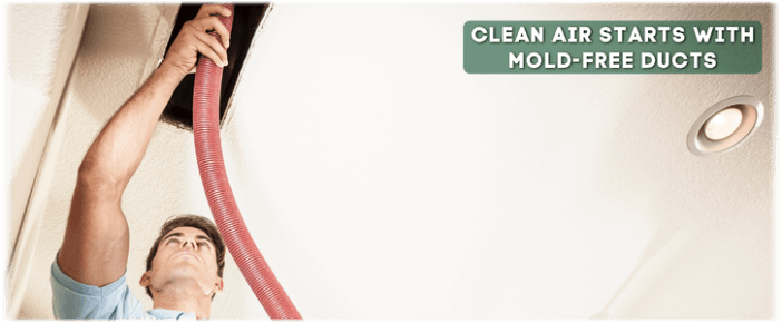 Air Duct Mold Removal in Corona