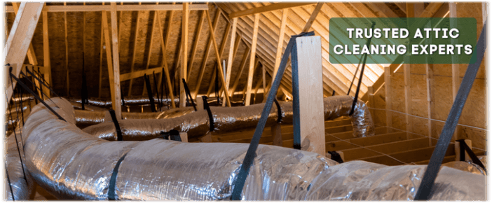 Attic Cleaning Corona