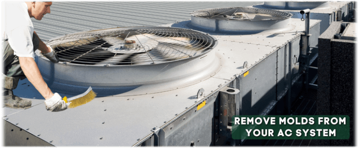 HVAC Mold Removal Corona